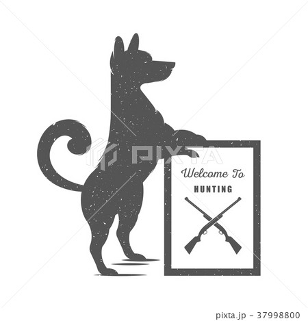 Vector Illustration Funny Dog 37998800