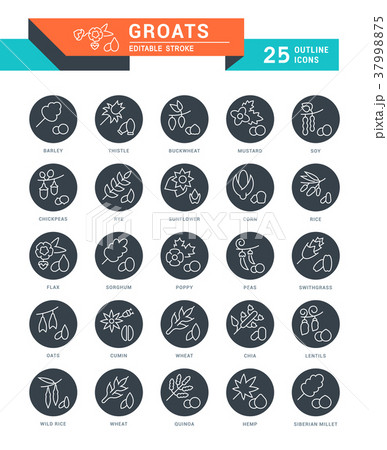 Set Vector Line Icons of Groats. 37998875