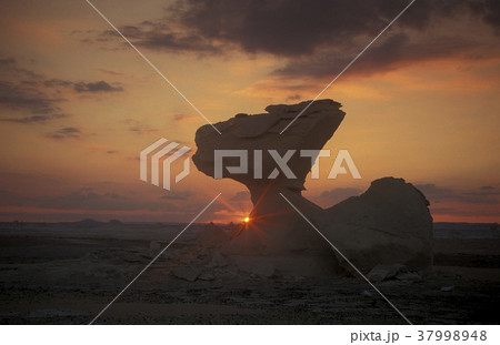 AFRICA EGYPT SAHARA FARAFRA WHITE DESERT 37998948