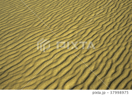 AFRICA EGYPT SAHARA FARAFRA WHITE DESERT 37998975