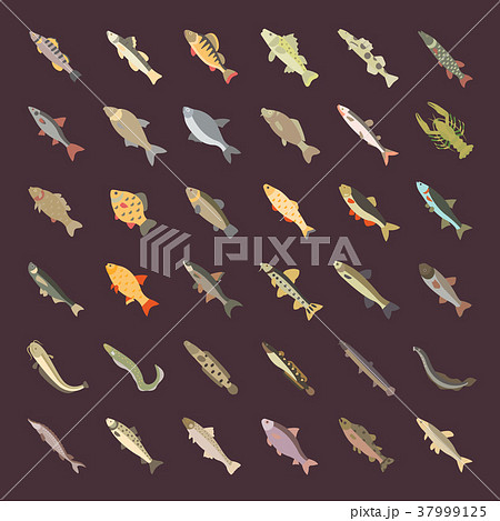 Set Vector Flat Icons of Freshwater Fish 37999125