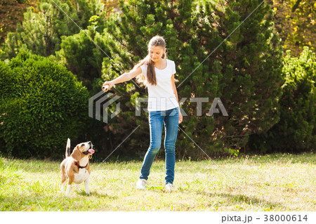 Girl plays with a dog in the yard Girl plays with a dog in the yard 38000614