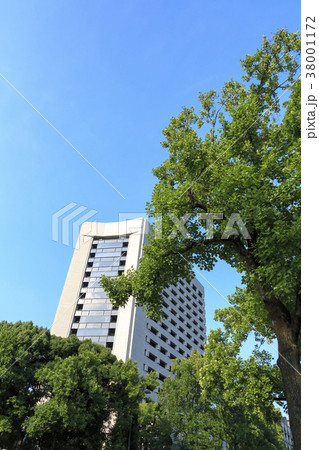 都市風景(東京、警視庁、新緑) 都市風景(東京、警視庁、新緑) 38001172