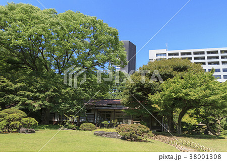 庭園風景（東京、小石川後楽園、初夏） 38001308