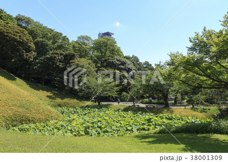 庭園風景（東京、小石川後楽園、初夏） 38001309