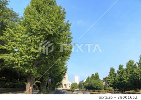 都市風景(東京、国会議事堂、初夏) 都市風景(東京、国会議事堂、初夏) 38001652