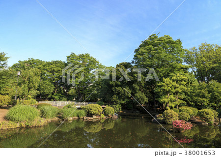 都市風景(東京、国会議事堂、初夏) 都市風景(東京、国会議事堂、初夏) 38001653