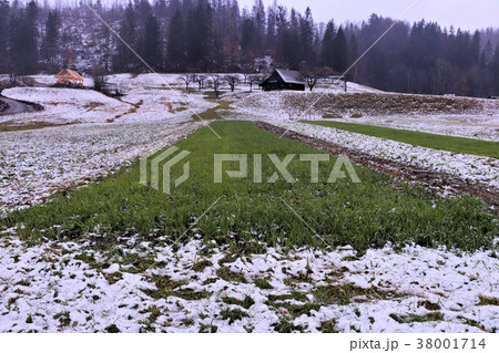 green grass field on a rainy day green grass field on a rainy day 38001714