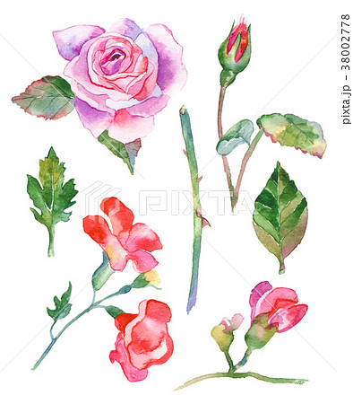 Watercolor flowers illustration Watercolor flowers illustration 38002778