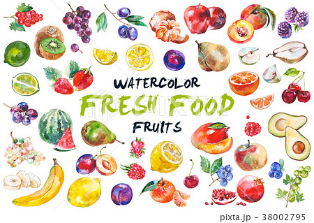 Watercolor fruits isolated on white 38002795