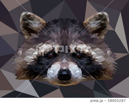 Vector polygonal raccoon isolated on white. Low 38003287