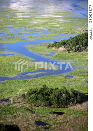 EUROPE BALKAN MONTENEGRO SKADAR LAKE 38003877