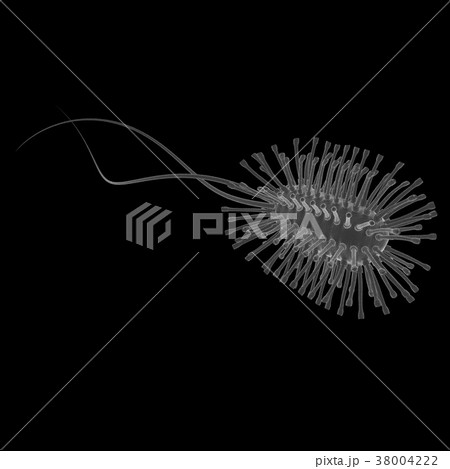 Dangerous bacteria on a black 3d render Dangerous bacteria on a black 3d render 38004222