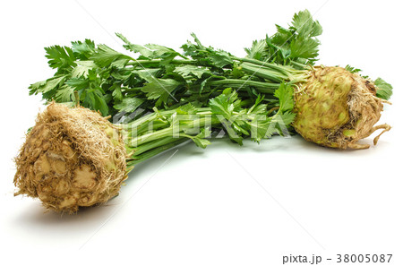 Fresh celery isolated on white Fresh celery isolated on white 38005087