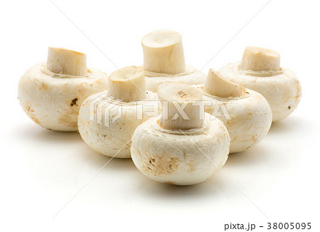Raw champignons isolated on white Raw champignons isolated on white 38005095