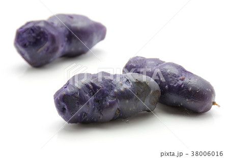 Fresh vitelotte potato isolated on white Fresh vitelotte potato isolated on white 38006016