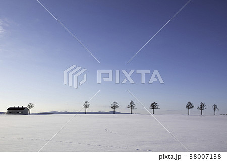 メルヘンの丘から見る雪の絨毯 38007138