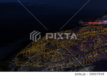 白米千枚田のイルミネーション 38007646