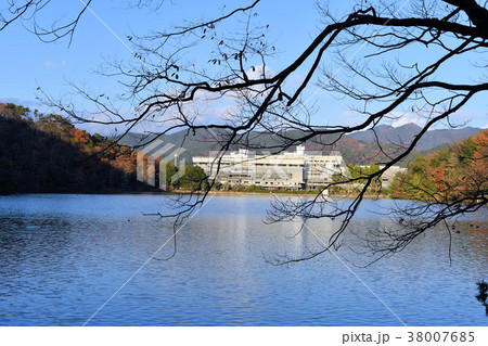 晩秋の宝ヶ池 38007685