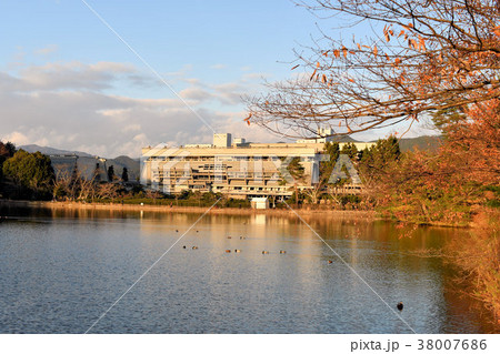 晩秋の宝ヶ池 38007686