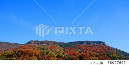 紅葉の屋島 紅葉の屋島 38007695