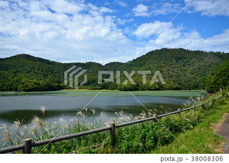 秋の大山下池 38008306