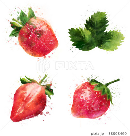 Strawberry on white background. Watercolor 38008460
