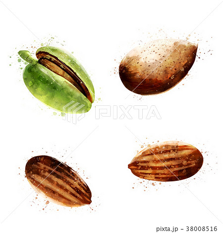 Almond on white background. Watercolor 38008516