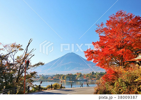 山梨県　湖北ビューラインからの富士山と紅葉 38009387