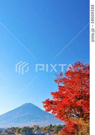 富士山と秋の紅葉 富士山と秋の紅葉 38009388