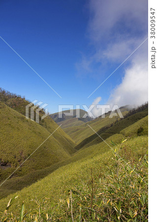 Dzukou valley, Located at the border of the states Dzukou valley, Located at the border of the states 38009547