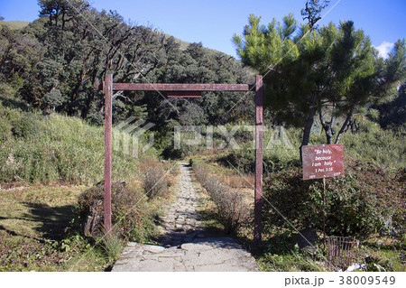 Entry to Dzukou valley top camp, Located at the Entry to Dzukou valley top camp, Located at the 38009549