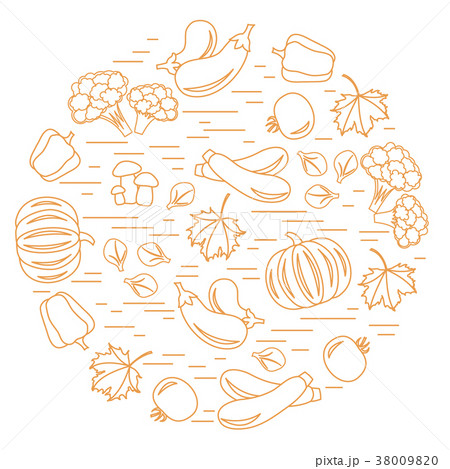 autumn seasonal vegetables in circle 38009820