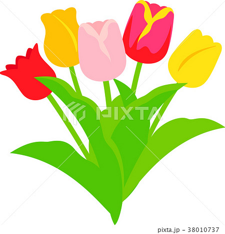 チューリップの花束のイラスト素材