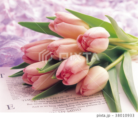 花 フラワー お花 38010933