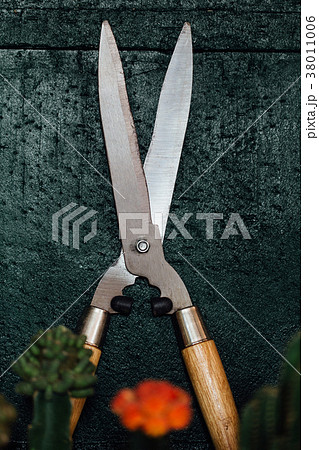 Professional new large pruner. Brilliant secateurs Professional new large pruner. Brilliant secateurs 38011006
