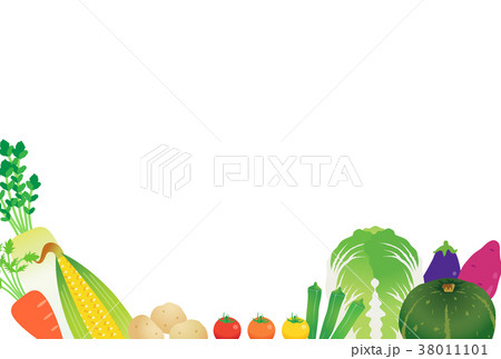 野菜 野菜 38011101