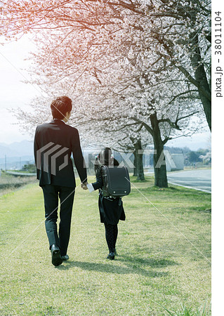 入学式の日お父さんと桜並木を歩く小学1年生の娘の写真素材