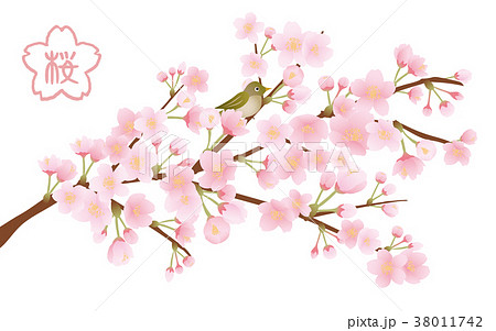 桜の木 イラスト素材のイラスト素材
