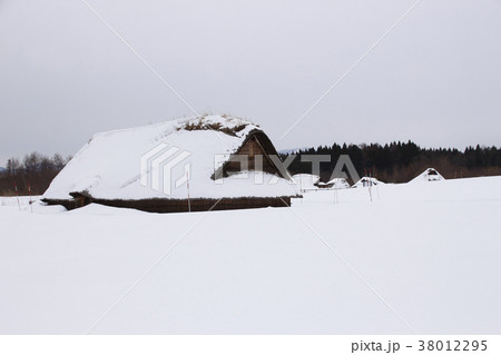 冬の三内丸山遺跡にて（大型竪穴住居） 38012295