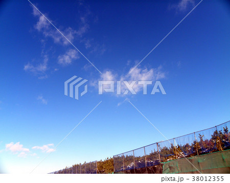 雪の日の稲毛海岸真っ白な風景 雪の日の稲毛海岸真っ白な風景 38012355