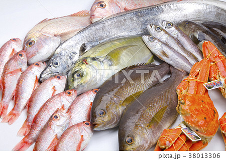 海鮮盛り合わせ 食材 海鮮盛り合わせ 食材 38013306