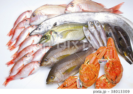海鮮盛り合わせ 食材 海鮮盛り合わせ 食材 38013309