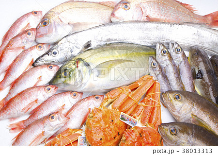 海鮮盛り合わせ 食材 海鮮盛り合わせ 食材 38013313