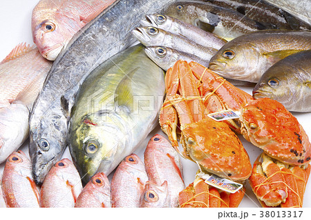海鮮盛り合わせ 食材 海鮮盛り合わせ 食材 38013317