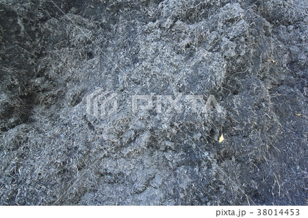soil in garden with dry grass soil in garden with dry grass 38014453