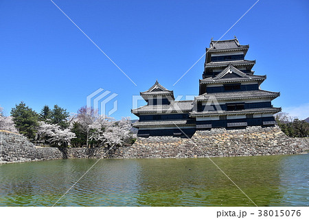 日本の国宝 春の松本城 美しい桜と青空 日本の国宝 春の松本城 美しい桜と青空 38015076