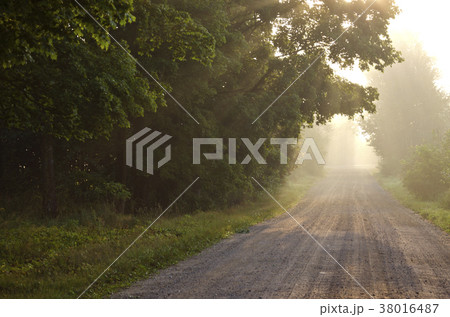empty rural gravel road and autumn morning mist 38016487