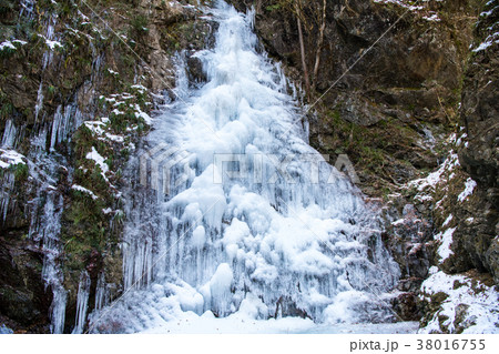 東京 払沢の滝 全面結氷 東京 払沢の滝 全面結氷 38016755