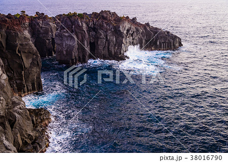 【東伊豆】城ヶ崎海岸 【東伊豆】城ヶ崎海岸 38016790
